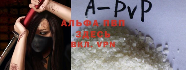 хмурый Абаза