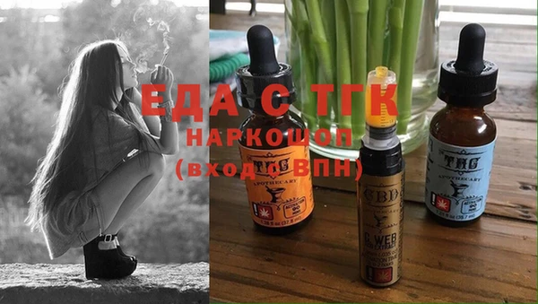 хмурый Абаза