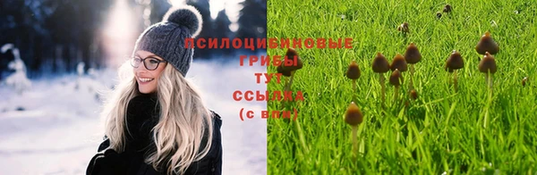 Альфа ПВП Алексин