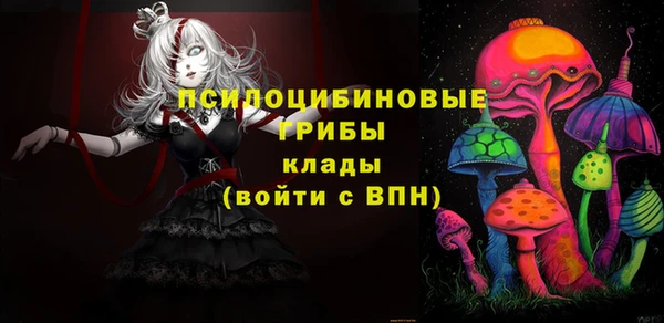 хмурый Абаза