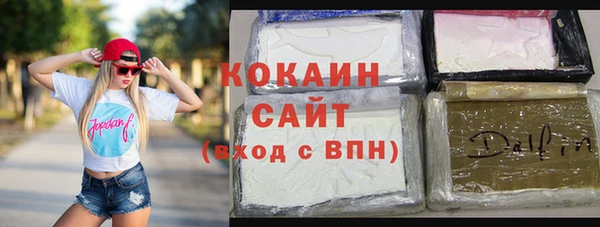 хмурый Абаза