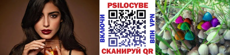 Псилоцибиновые грибы мицелий  закладка  Циолковский 